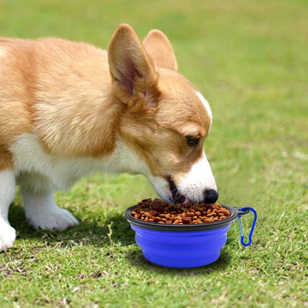 Silicone Dog Feeder Bowl With Carabiner Folding Cat Bowl Travel