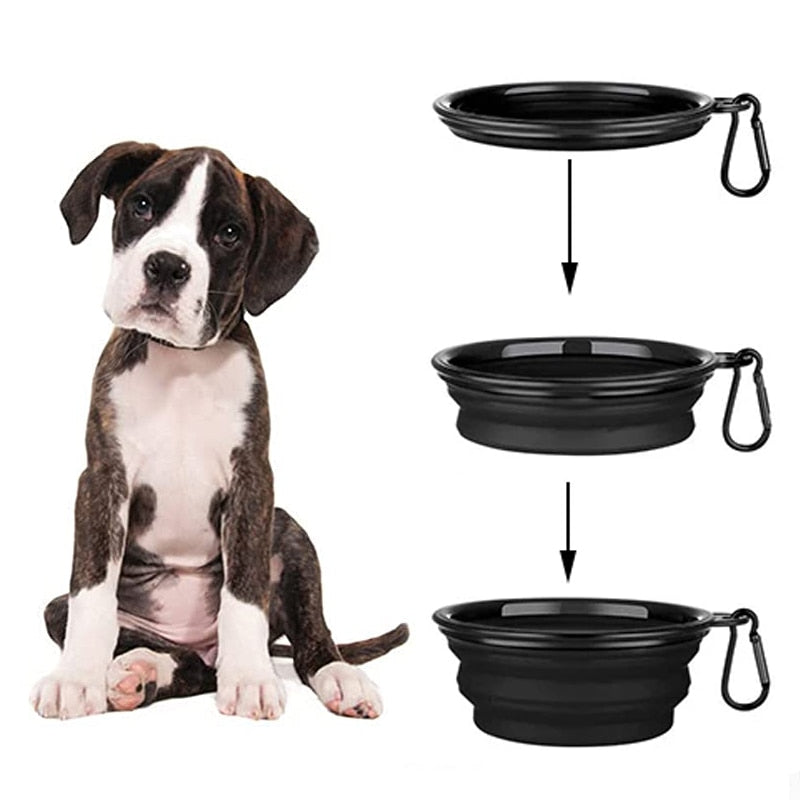 Silicone Dog Feeder Bowl With Carabiner Folding Cat Bowl Travel