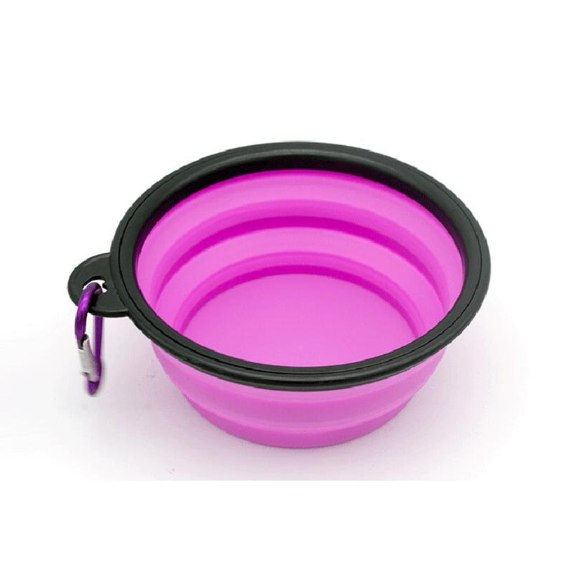 Silicone Dog Feeder Bowl With Carabiner Folding Cat Bowl Travel