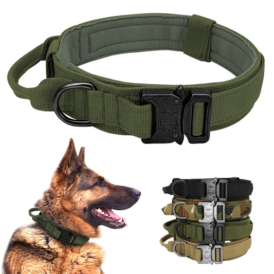 Dog Collar German Shepard Medium Large Dog Collars